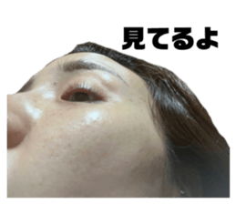 504027173