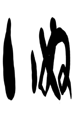 504058781