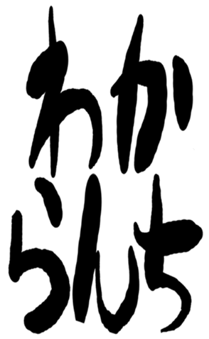 504058813