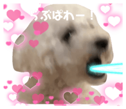504148822