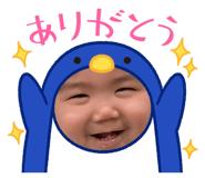 504154038