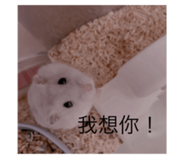 504166660