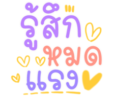 504174648