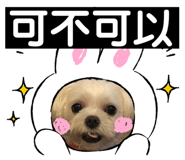 504188198