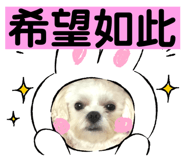 504188200