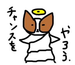 504188567