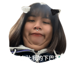 504202946