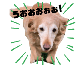 504228371
