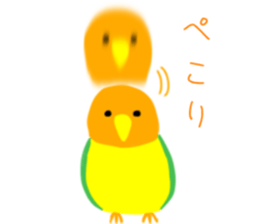 504230320
