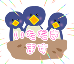 504230324