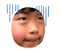 504232687