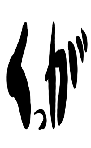 504257387