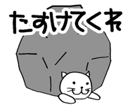 5042681