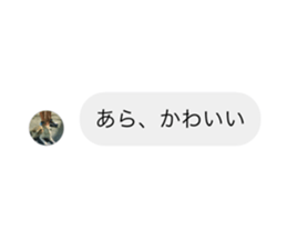 504301639