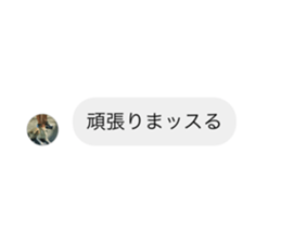 504301644