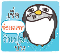 504356851
