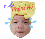 504429311