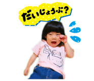 50446185