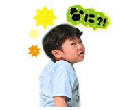 50446186