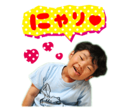50446198