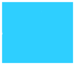 504481827
