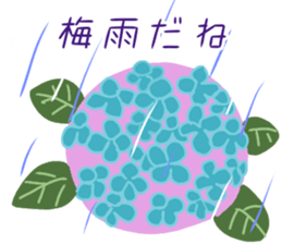 504507904