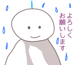 504507920