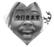 504510861