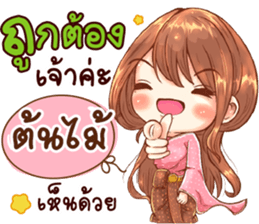 50453190