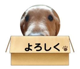 504534806