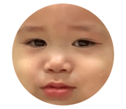 504548579