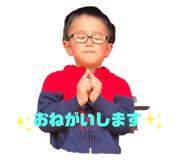 504558055