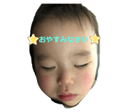 504558061