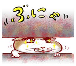 5045594