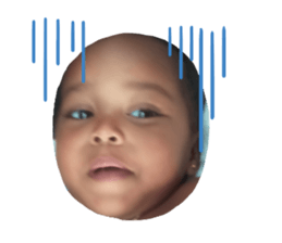 504600184
