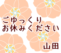 50462623