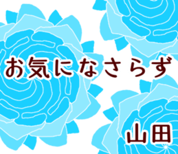 50462642
