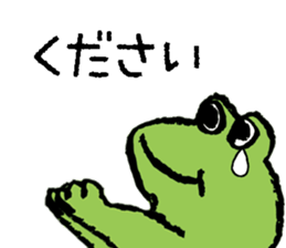 504643374