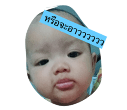 50467360