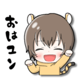 504685550