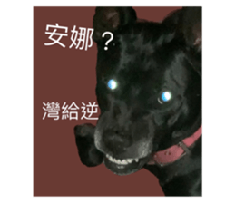 504685678