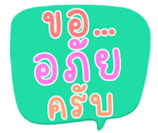 504705238