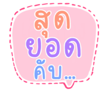 504705254
