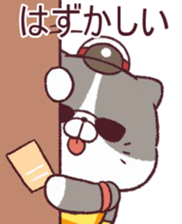 504713519
