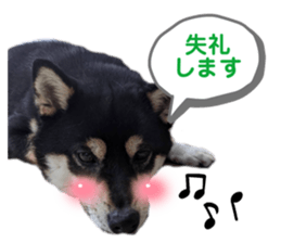 504720502