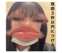 504731648