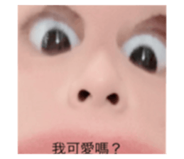 504731753