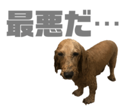 504754770