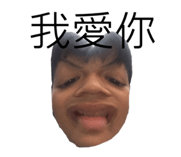 504756333