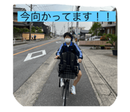 504795427